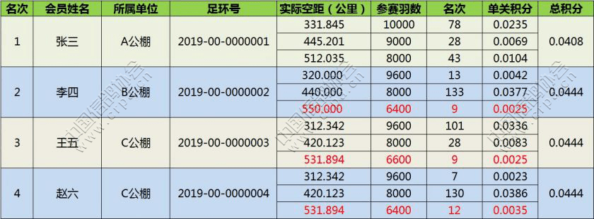 信鸽排行_2020年中国信鸽公棚鸽王排名赛收鸽18万羽