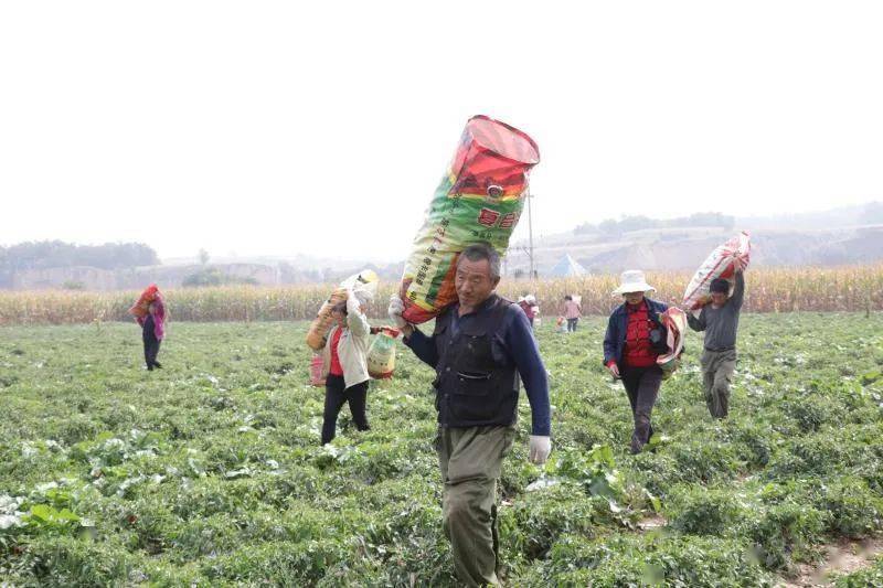 襄垣的gdp_襄垣东湖(3)