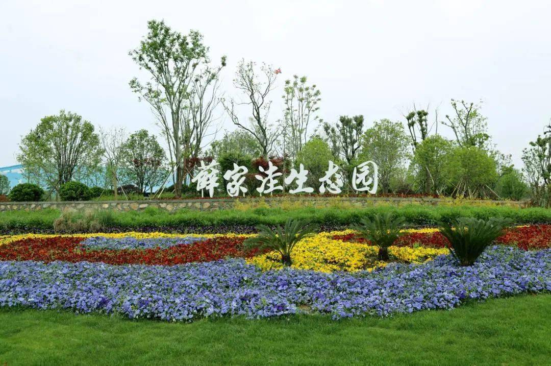 火狐电竞|
【文明实践在行动】这里是马鞍山(图5)