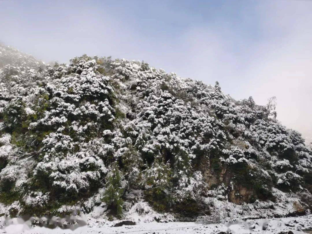 绵阳今秋第一场雪,下在这里