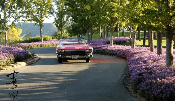 什么|平凡生活怎么就等于“走投无路”了？