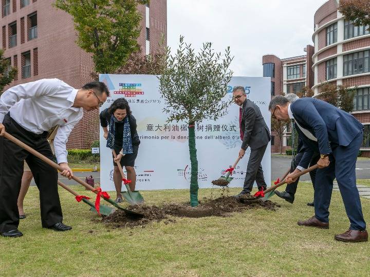 曹杨|意大利驻沪总领事馆向上海一中学赠送橄榄树