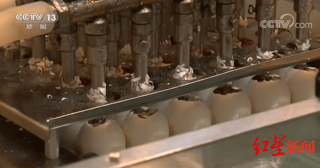 调查|流感疫苗全国缺货调查：国内需求突发激增 形成“挤兑效应”