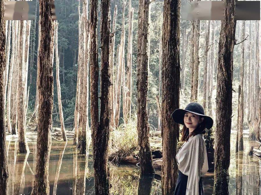 单眼皮|152cm单眼皮妹子 | 自信也可以美出一边天！