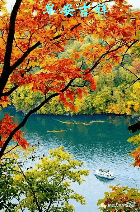 450_680 竖版 竖屏