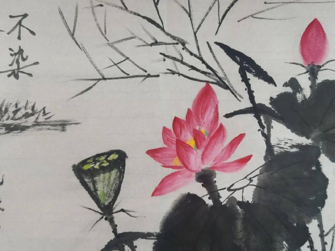 赵巷镇2019经济总量_赵巷镇地图(3)