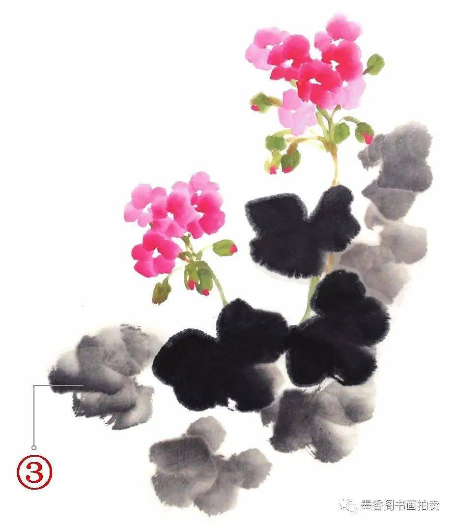 国画教程:写意天竺葵的画法