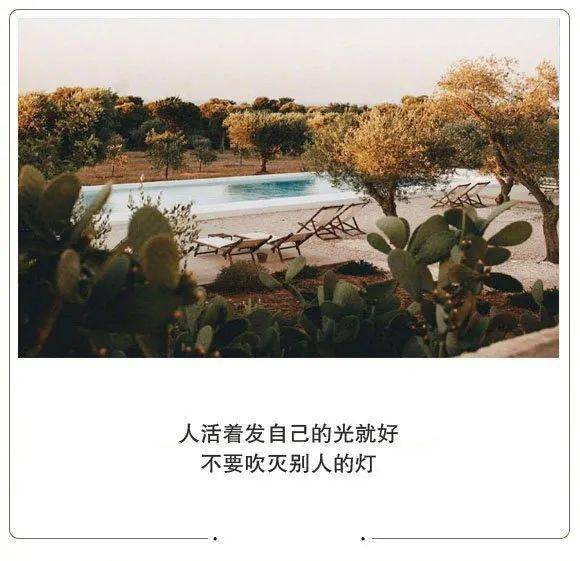 人活着发自己的光就好