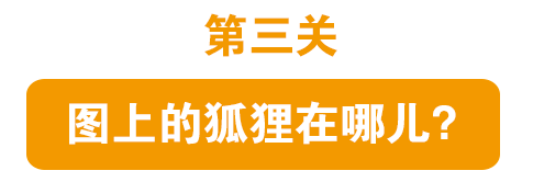 考你眼力这9张闯关图好玩又精妙您也来试试