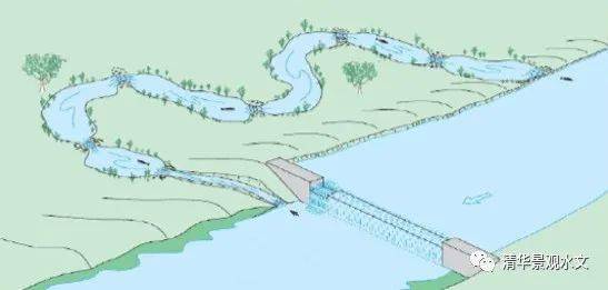 【行业观察】建坝河流生态保护与修复的国际案例比较研究