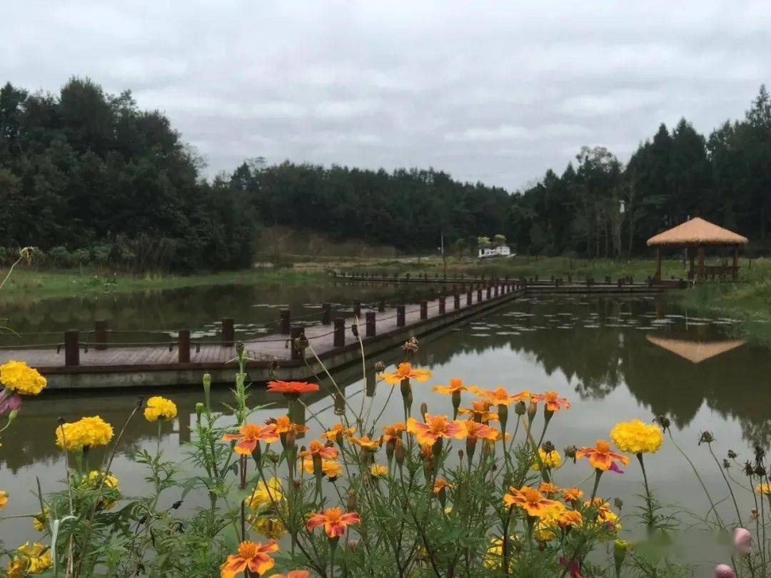 西充这个"文旅特色村落"景色宜人,你去过吗?快来为ta打call吧.