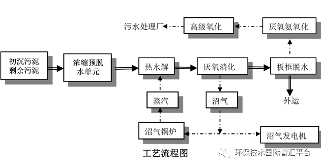 污泥热水解-厌氧消化及林地应用资源化处置技术_处理