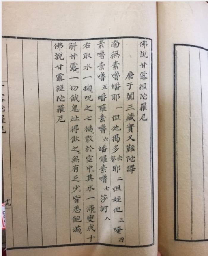 安人|高山杉|一本残书引起的一系列发现