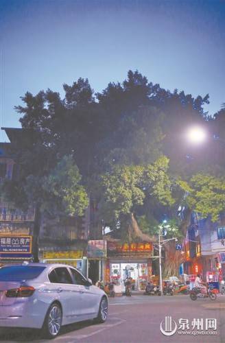 巷头|能文能武番仔巷 巷头巷尾掌故多