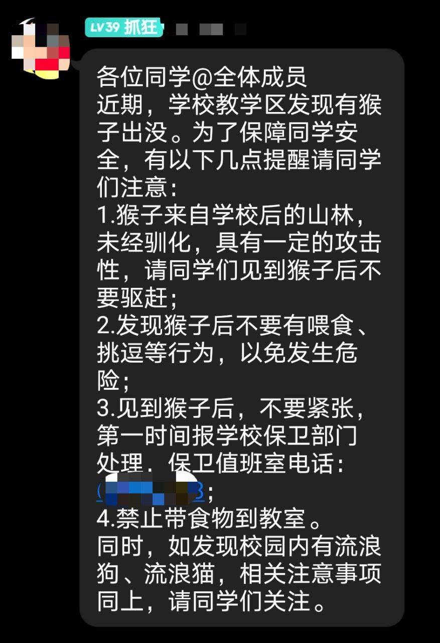 校园|苏州一大学内山猴“不请自来”，学校：勿轻易投喂