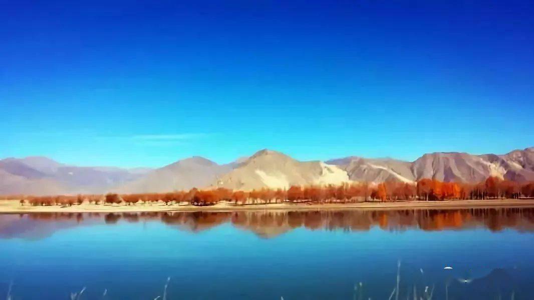 西藏最高海拔在哪个地区 c2e96f5a9e2349f3a91e4f0b267977f5.jpeg