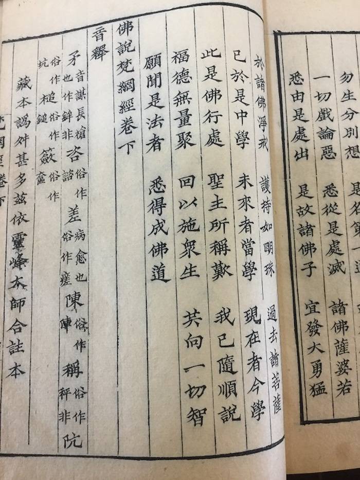 安人|高山杉|一本残书引起的一系列发现