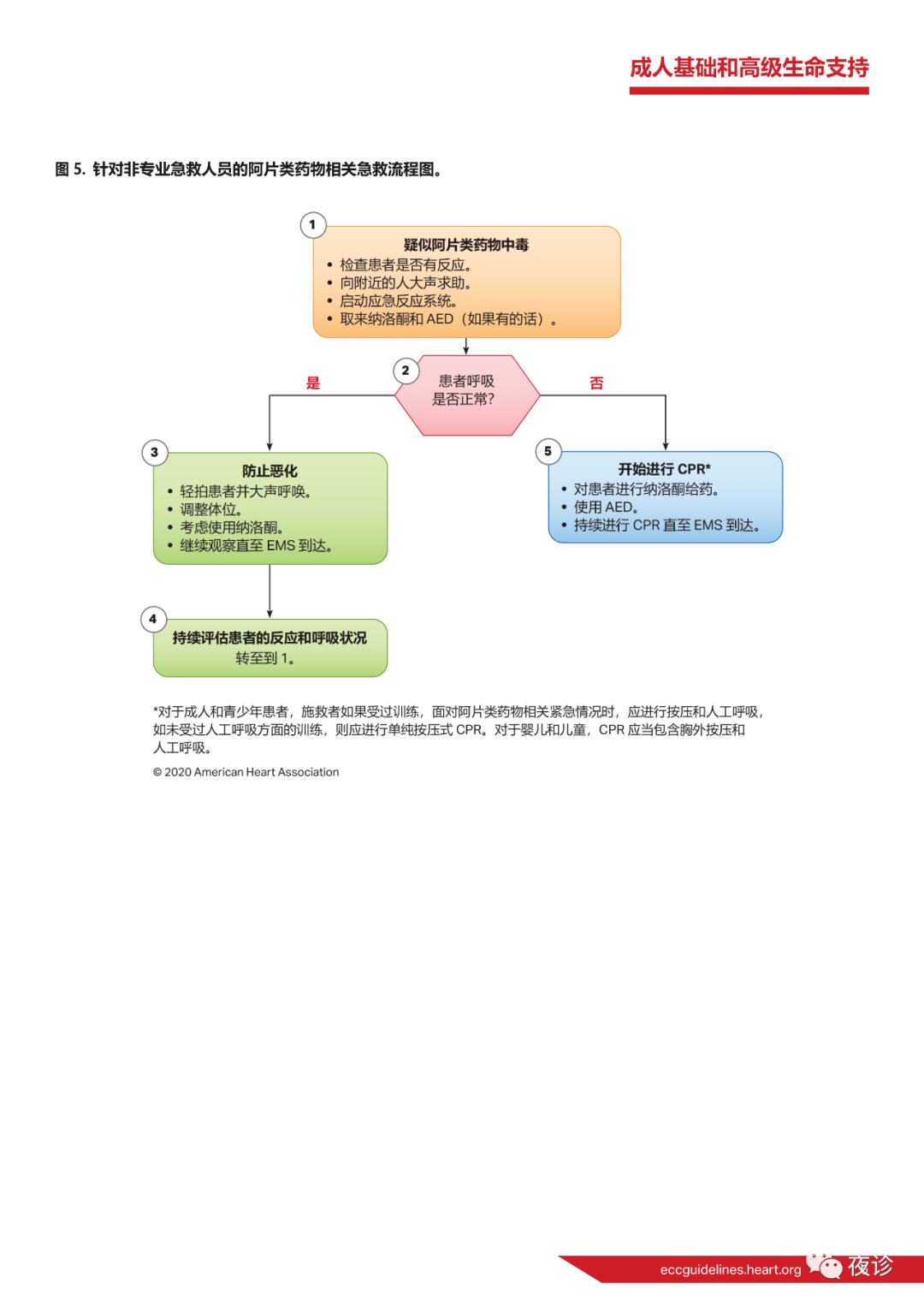 aha心肺复苏指南更新 附15 19指南回顾 气道