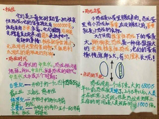 4ea2d7f0610348de90f4423e9f005891.jpeg
