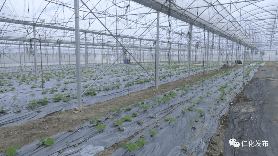 仁化gdp_韶关仁化电动公交车(2)