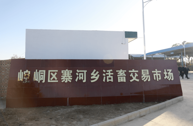 储寨村人口