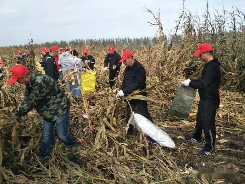 绥棱县人口_黑龙江这个城市设立地级市近20年,给人感觉还是大县城模样(3)