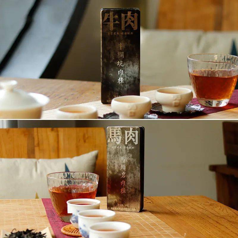 建议|一次性把茶王岩茶讲清楚！(建议收藏)