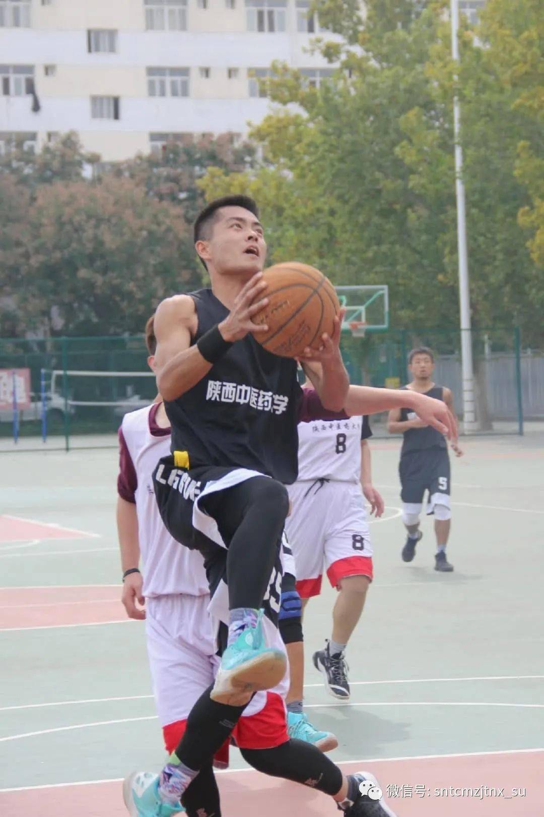 【panda sports】
球场激情洒汗水 针推男篮No. I(图6)