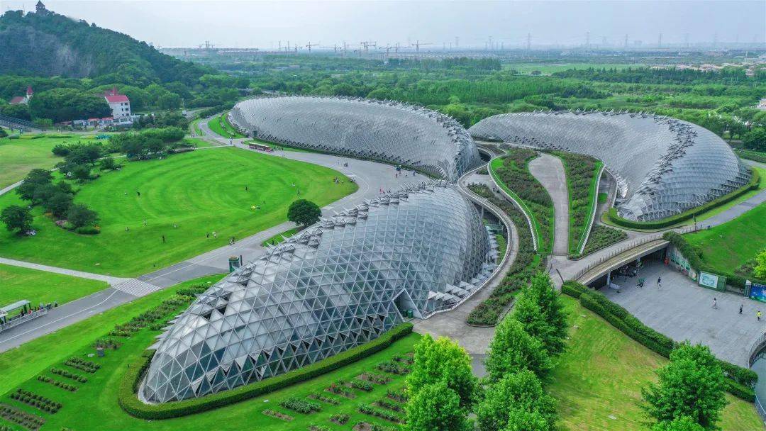 游玩温室·珍奇尽览就在上海辰山植物园游览温室,品味秋韵,享食秋果带