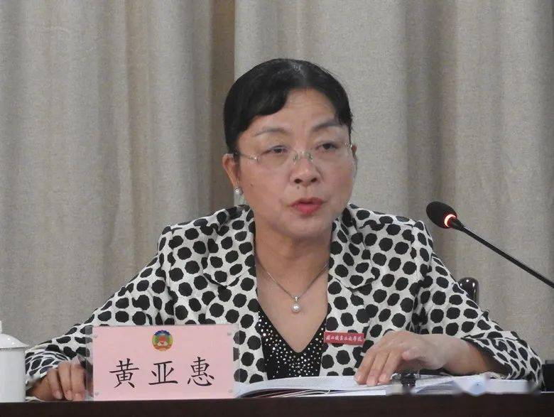 黄亚惠作重点发言,建议加大基层医疗人才队伍培养力度,开展在岗乡村
