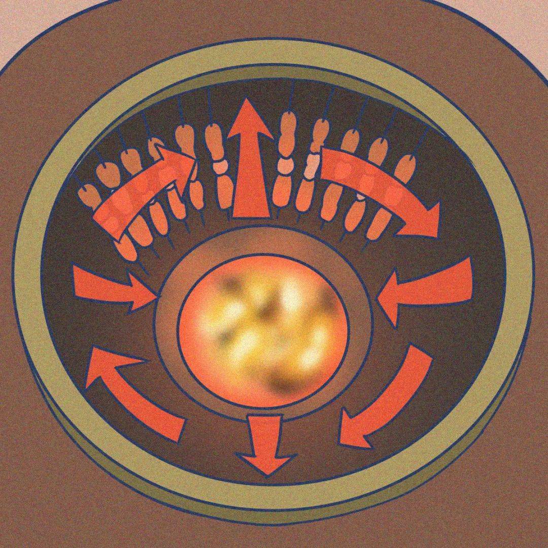 食物|烧烤怎么吃才能健康又不胖？这题有解