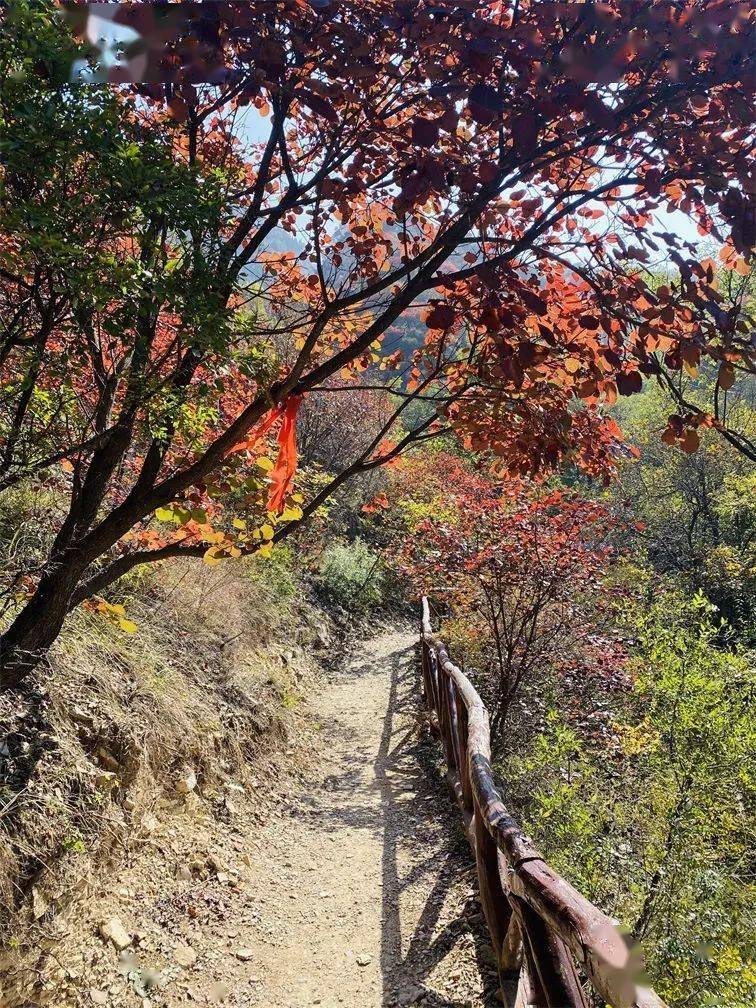 【今日实拍】青州天赐山,高清实拍图!