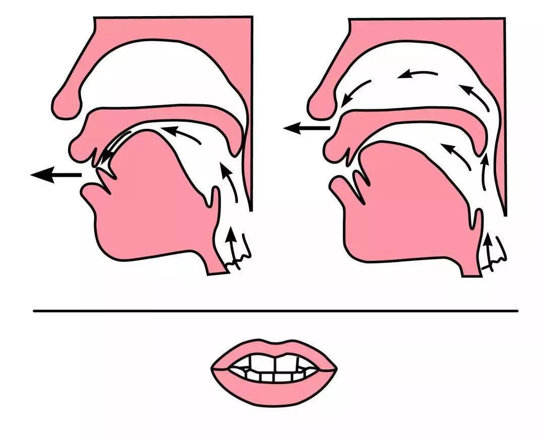 小学低年级前后鼻音发音技巧 (附:平翘舌音 前后鼻音)