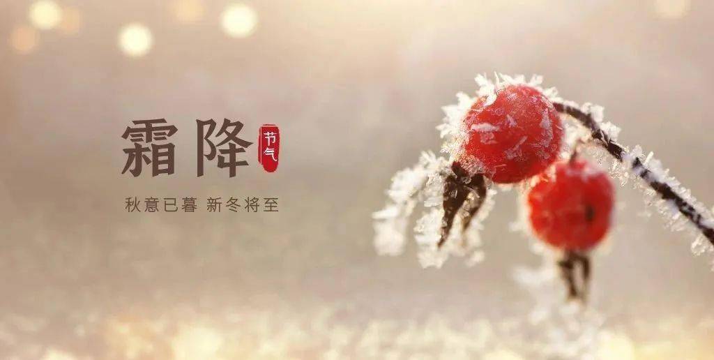 二十四节气 | 今日霜降 话别秋天