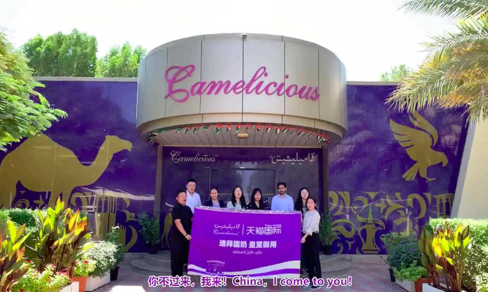 燕窝|天猫国际直采全球100个产业带，双11让消费者享受“承包价”