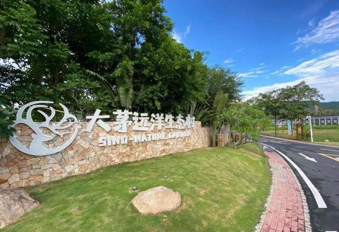 乡村游三亚站来啦,三亚这个五椰级美丽乡村邀您来打卡