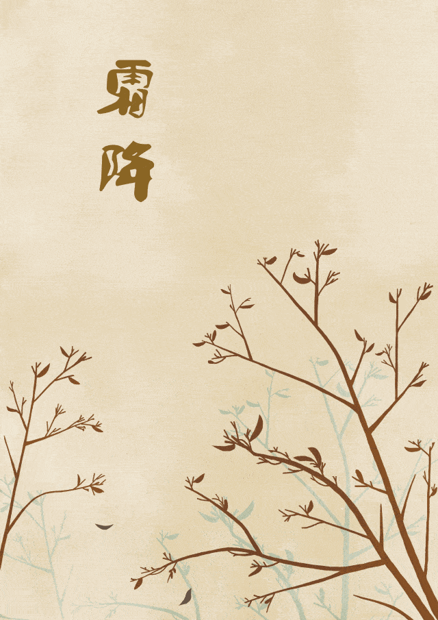 640_905 竖版 竖屏