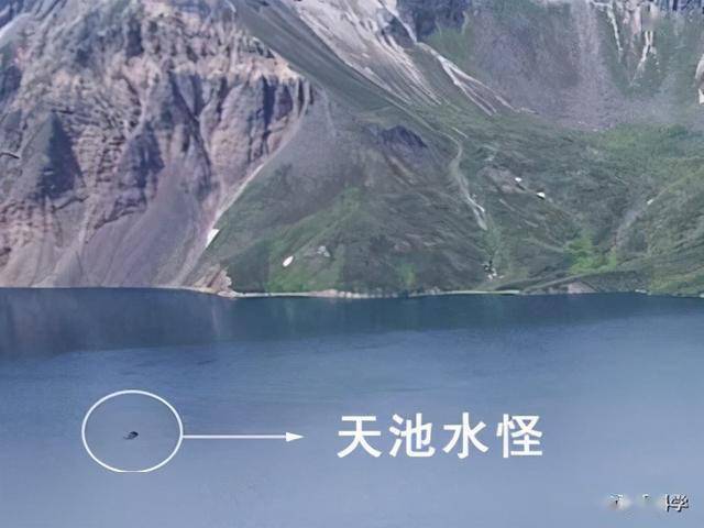 其中在《长白山江岗志略》中记述"自天池中有一怪物浮出水面,金黄色