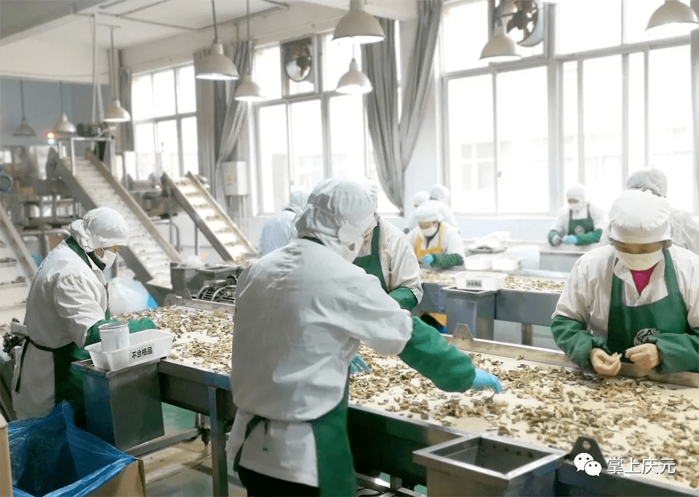 庆元2020年gdp_皇庆元年祥州站印玉质