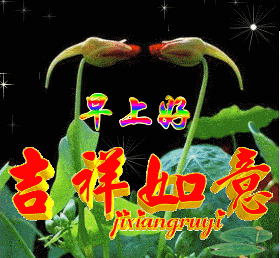 10月23日最漂亮早上好动态表情图片大全早晨好美图大全