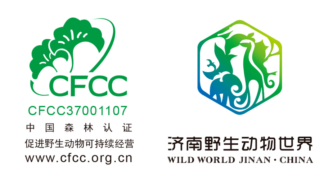 喜报 济南野生动物世界成功获取中国森林认证cfcc标识为国内综合性动物园首家 国家