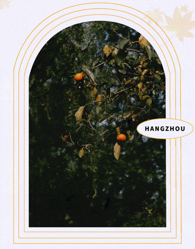 640_817 竖版 竖屏