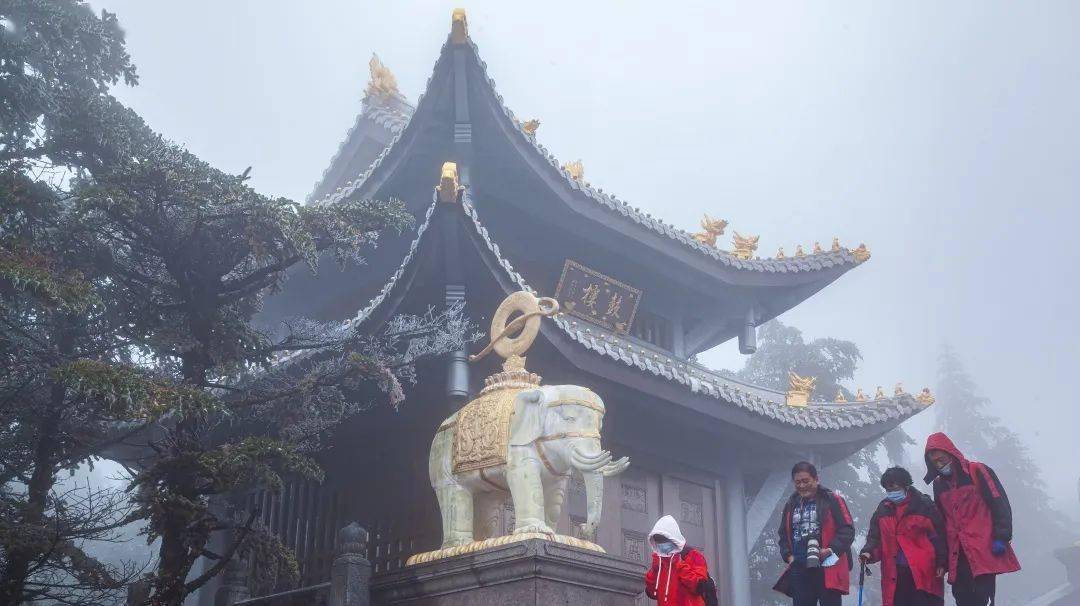 第一场雪的美图,向你展示峨眉山即将迎来的新视界_金顶