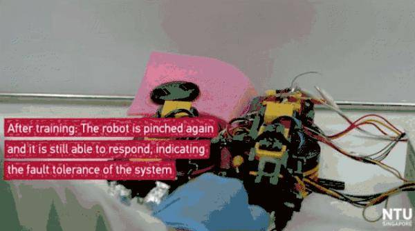 当机器人拥有痛觉后......