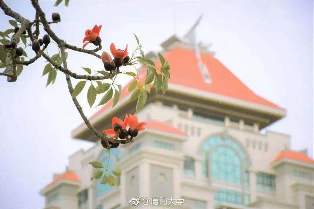 厦门大学2020年法硕_6家金融机构携手厦大共建专业学位研究生实践基地