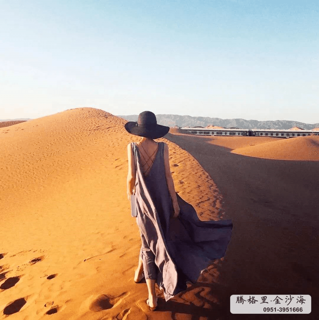 中卫多少人口_中卫66号公路图片(2)