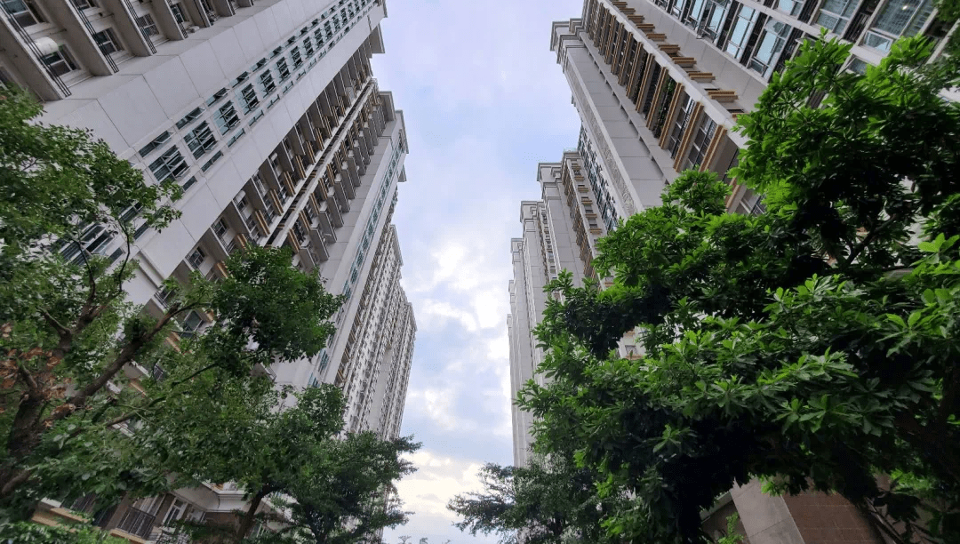 人口普查登记房子_普查人口登记表格图片(2)