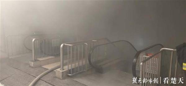 乱扔烟头引发火灾，两名违法行为人被行政拘留