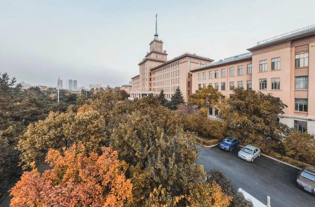 校园如此迷人戳一下看独家视频《秋韵》↗终于把哈工大推进了秋一场接