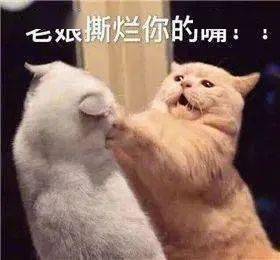 8ad4a5b571b4488c9d2860fb19de6aa5.jpeg